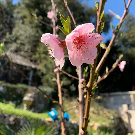 Biser Kvarnera 2 Dom wakacyjny *